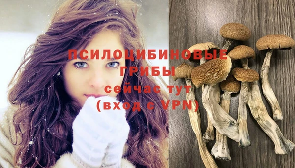 не бодяженный Алзамай