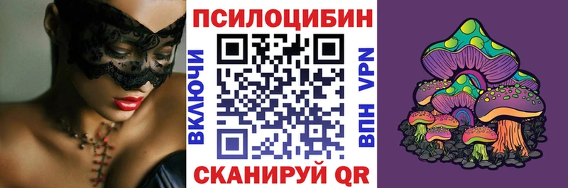 закладка  Шенкурск  Галлюциногенные грибы Psilocybe 